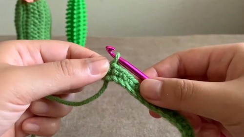 Crochet Cactus Amigurumi Pattern 2