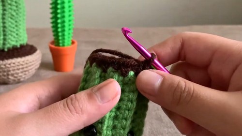 Crochet Cactus Amigurumi Pattern 5