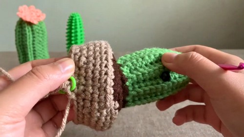 Crochet Cactus Amigurumi Pattern 7