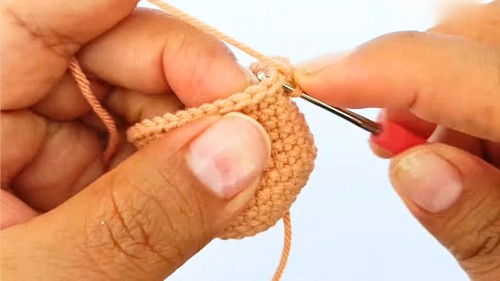 Crochet Capybara Amigurumi Pattern 2