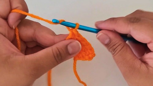 Crochet Carrot Coaster Pattern 2