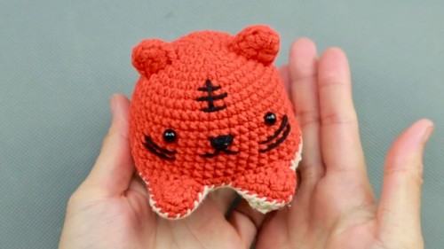 Crochet Double Sided Tiger Pattern 8