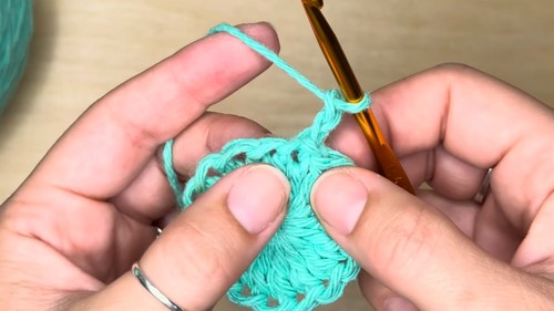 Crochet Face Scrubby Pattern 3