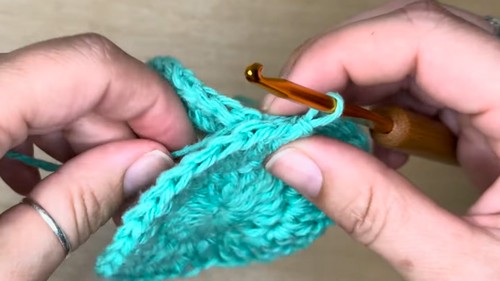 Crochet Face Scrubby Pattern 5