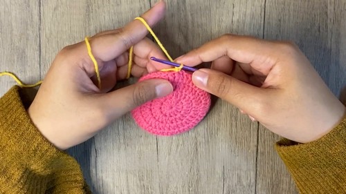 Crochet Flower Mirror Cover Keychain Pattern 5