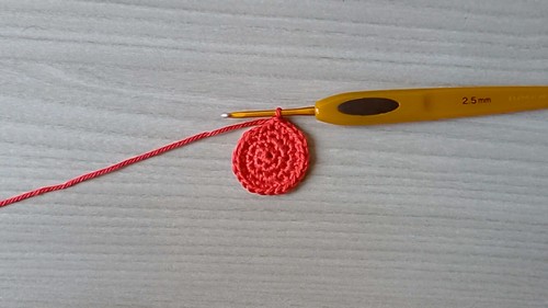 Crochet Fruit Coin Purse Pattern 1