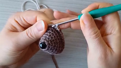 Crochet Hedgehog Amigurumi Pattern 2