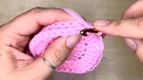 Crochet Kitchen Scrubber With Tulle Pattern 5