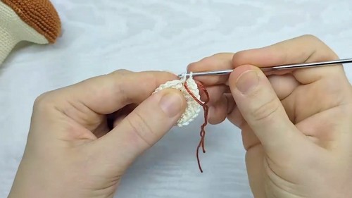 Crochet Mushroom Amigurumi Pattern 1