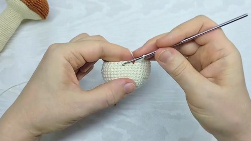 Crochet Mushroom Amigurumi Pattern 3