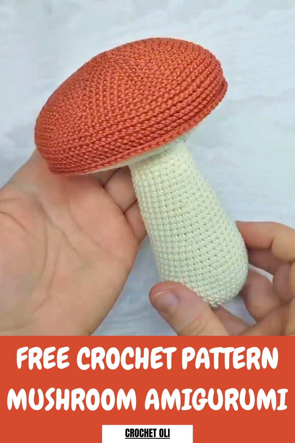 Crochet Mushroom Amigurumi Pattern
