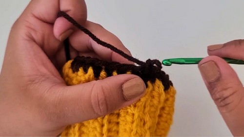 Crochet Pumpkin Amigurumi Pattern 5