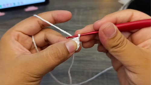 Crochet Raccoon Amigurumi Pattern 1