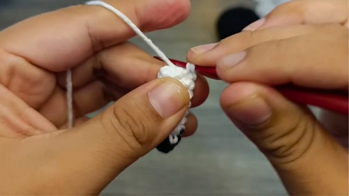 Crochet Raccoon Amigurumi Pattern 6