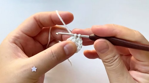 Crochet Ray Fish Keychain Pattern 2