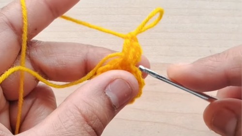 Crochet Roses Bouquet Blanket Pattern 2