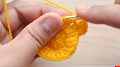 Crochet Roses Bouquet Blanket Pattern 3