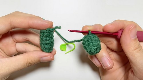 Crochet Spring Onion Pattern 2