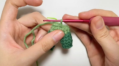 Crochet Spring Onion Pattern 4