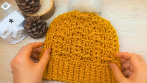 Crochet Winter Beanie Hat Pattern 8