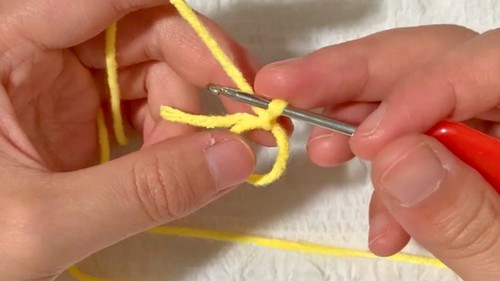 Cute Crochet Tulip Joker Pattern 1