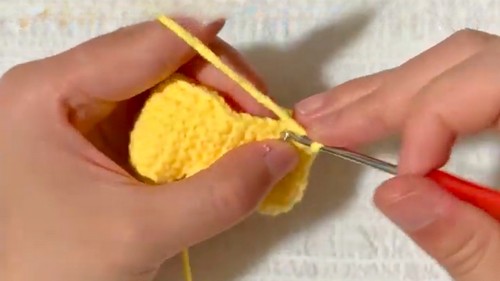 Cute Crochet Tulip Joker Pattern 4