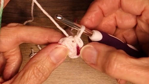 Quick Crochet Coffee Cozy Pattern 2