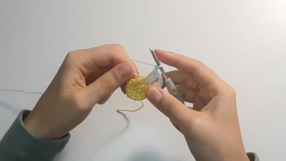 Crochet Daisy Granny Bag