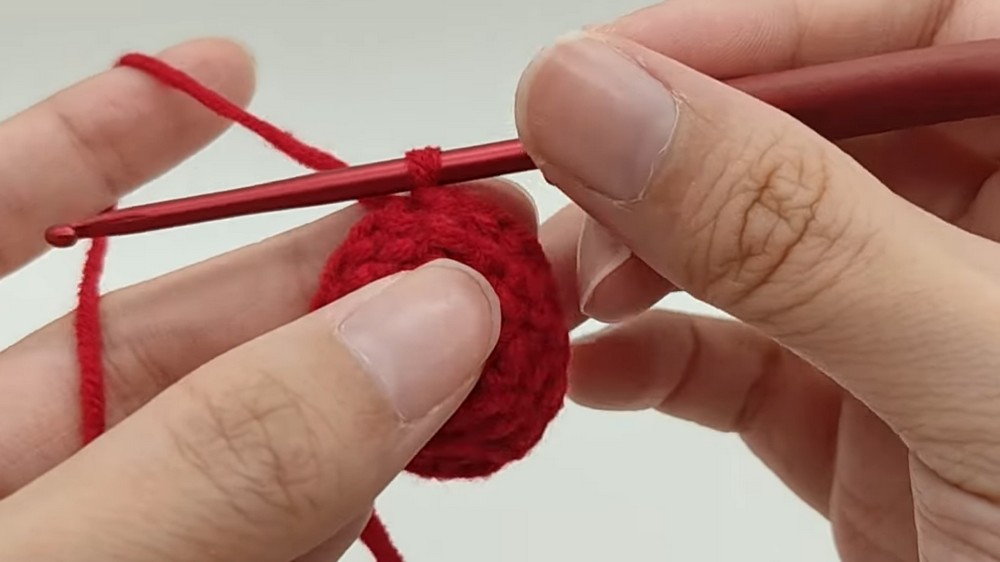 Crochet Christmas Hat