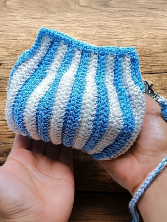 Beautiful Crochet Coin Purse Pattern 10