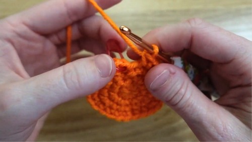 Beautiful Crochet Flower Pattern 2