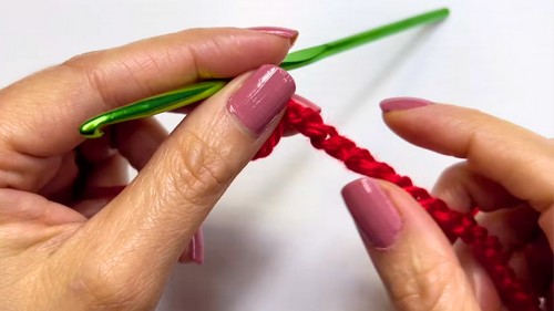 Beautiful Crochet Red Blouse Pattern 1