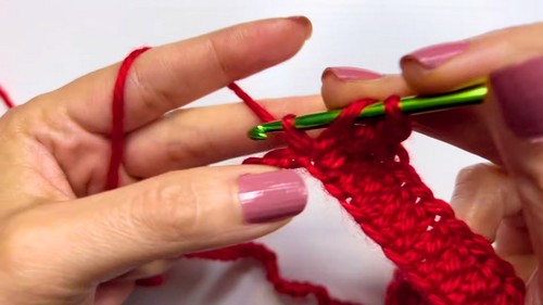 Beautiful Crochet Red Blouse Pattern 2