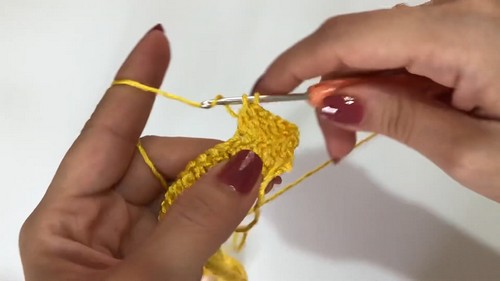 Beautiful Crochet Top Pattern 2