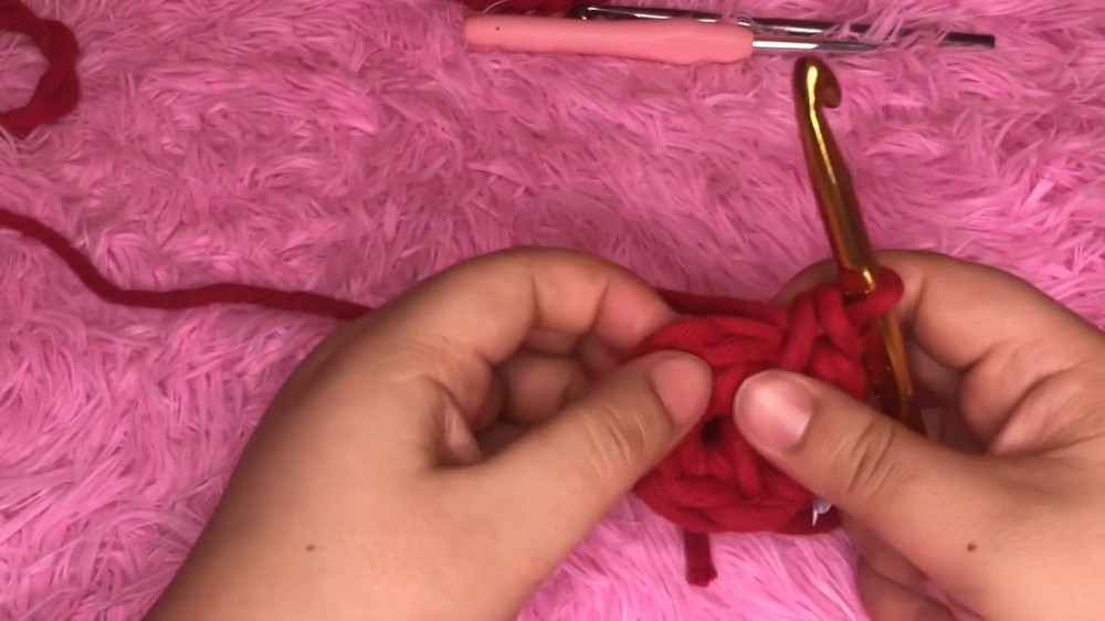 Crochet Stylish Ladise Bag