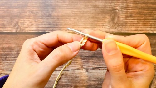 Crochet Blouse For Women Pattern 1