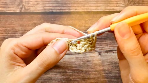 Crochet Blouse For Women Pattern 2