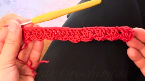 Crochet Blouse In Alpine Stitch Pattern 2