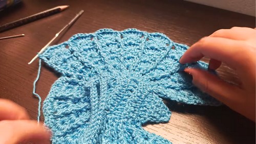 Crochet Butterfly Crop Top Pattern 6