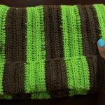 Crochet Cat Ear Beanie