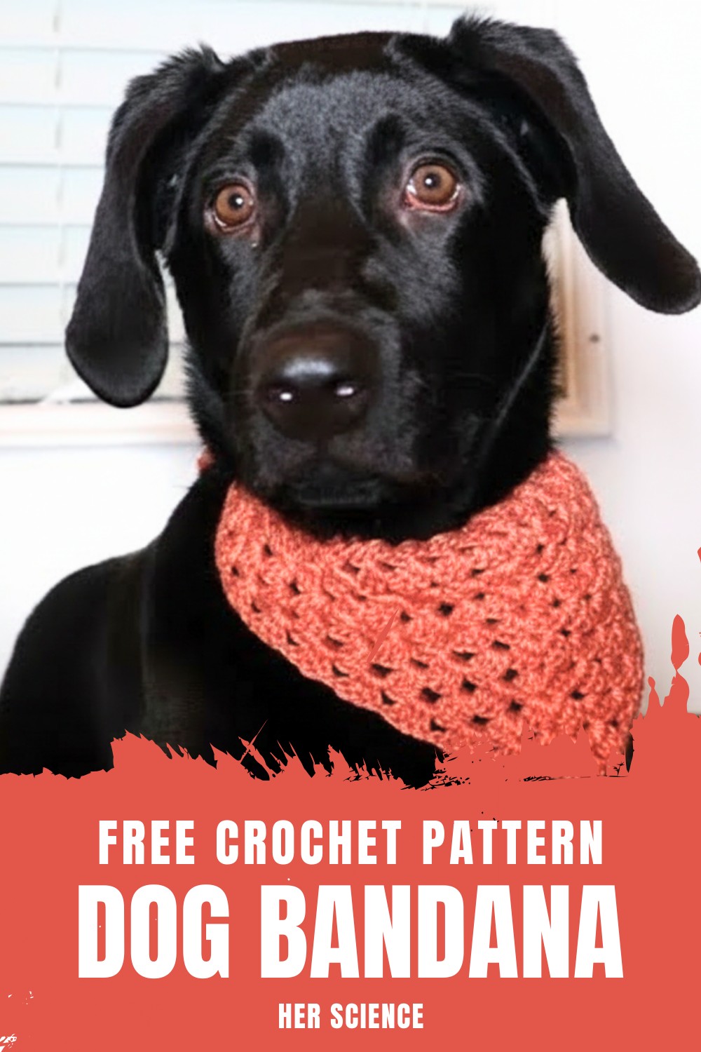 Crochet Dog Bandana Pattern