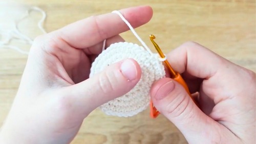 Crochet Hedgehog Amigurumi Pattern 2