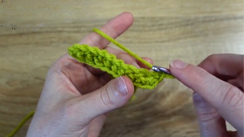 Crochet Lemon Amigurumi Pattern 7