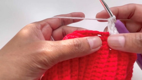 Cute Crochet Winter Hat Pattern 4