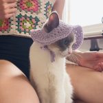 Crochet Cat Bucket Hat
