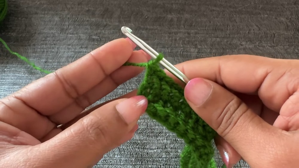 Crochet Beanie Hat Women