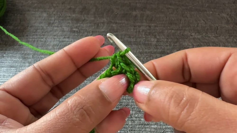 Crochet Beanie Hat Women