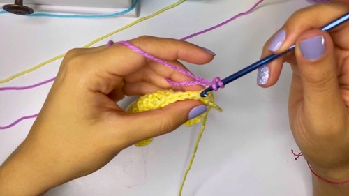 Easy Crochet Crop Top Pattern 2