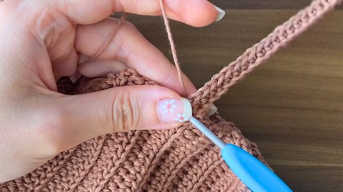 Easy Crochet Crop Top Pattern 6