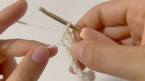 Easy Crochet Mini Net Bag Pattern 3